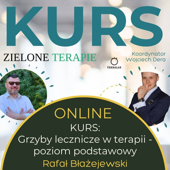 KURS mykologiczny: Grzyby lecznicze w terapii - poziom Podstawowy plus Rozszerzony